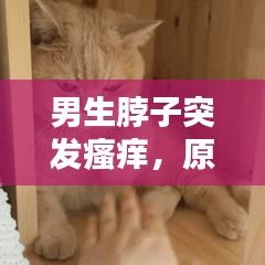 男生脖子突發(fā)瘙癢，原因解析、處理方法與預(yù)防策略