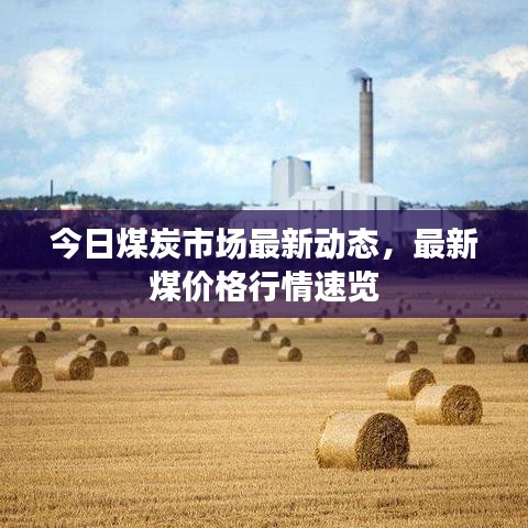 今日煤炭市場最新動(dòng)態(tài)，最新煤價(jià)格行情速覽