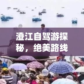 澄江自駕游探秘，絕美路線一網(wǎng)打盡！