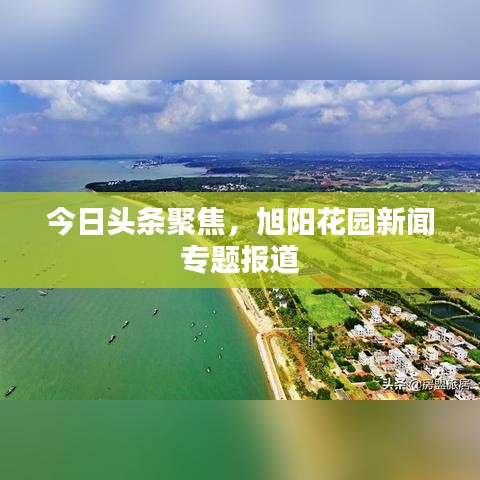 今日頭條聚焦，旭陽花園新聞專題報(bào)道