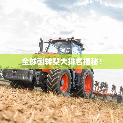 全球翻轉(zhuǎn)梨大排名揭秘！