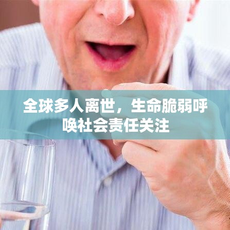 全球多人離世，生命脆弱呼喚社會責任關注