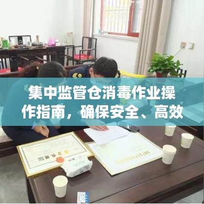 集中監(jiān)管倉消毒作業(yè)操作指南，確保安全、高效的消毒流程