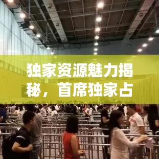 獨(dú)家資源魅力揭秘，首席獨(dú)家占有下載全攻略