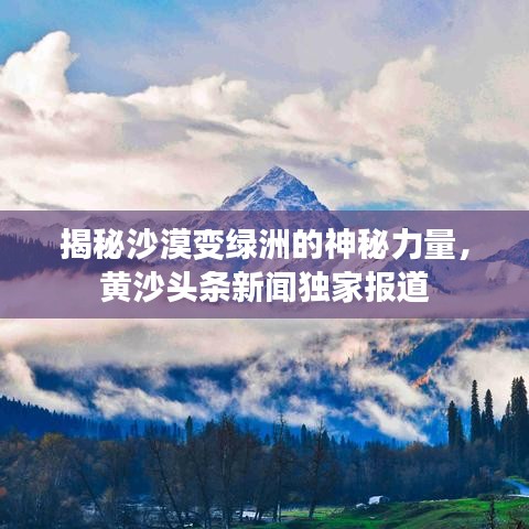 揭秘沙漠變綠洲的神秘力量，黃沙頭條新聞獨(dú)家報(bào)道