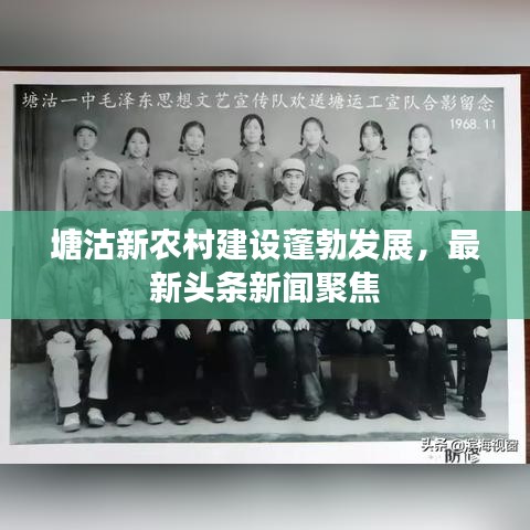 塘沽新農(nóng)村建設(shè)蓬勃發(fā)展，最新頭條新聞聚焦
