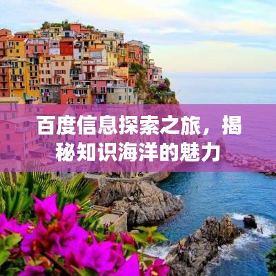 百度信息探索之旅，揭秘知識海洋的魅力