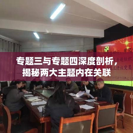 專題三與專題四深度剖析，揭秘兩大主題內(nèi)在關聯(lián)