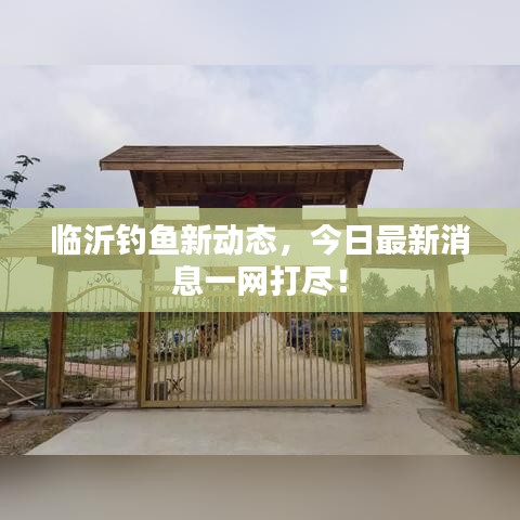 臨沂釣魚(yú)新動(dòng)態(tài)，今日最新消息一網(wǎng)打盡！