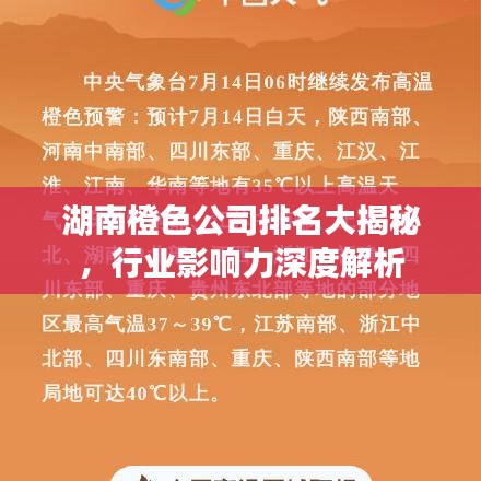 湖南橙色公司排名大揭秘，行業(yè)影響力深度解析