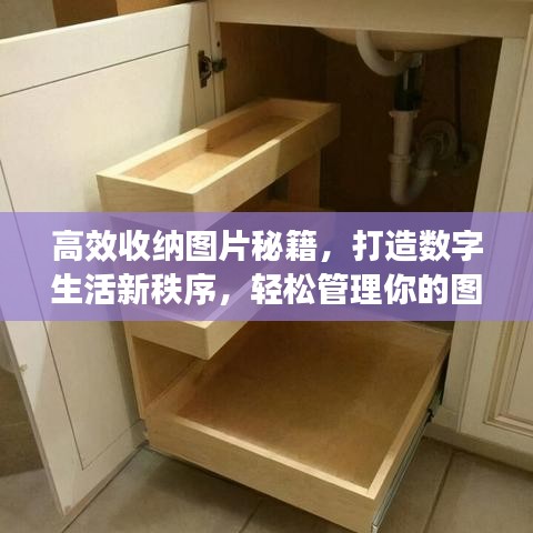 高效收納圖片秘籍，打造數(shù)字生活新秩序，輕松管理你的圖片世界！