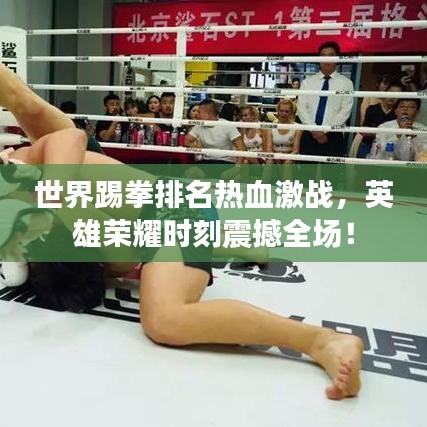 世界踢拳排名熱血激戰(zhàn)，英雄榮耀時(shí)刻震撼全場(chǎng)！