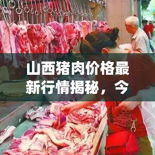 山西豬肉價(jià)格最新行情揭秘，今日市場走勢(shì)分析