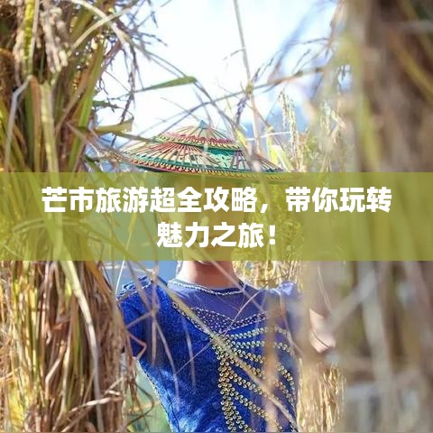 芒市旅游超全攻略，帶你玩轉魅力之旅！