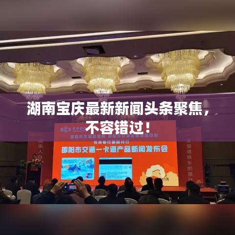 湖南寶慶最新新聞頭條聚焦，不容錯過！