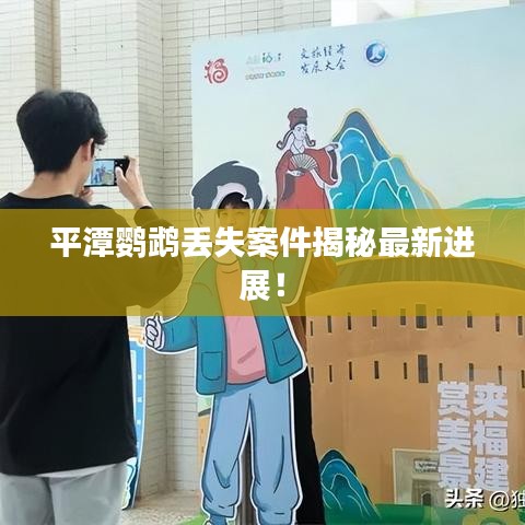 平潭鸚鵡丟失案件揭秘最新進展！