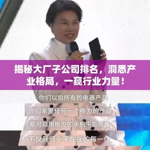 揭秘大廠子公司排名，洞悉產(chǎn)業(yè)格局，一窺行業(yè)力量！