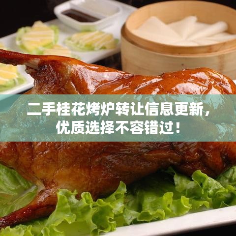 二手桂花烤爐轉(zhuǎn)讓信息更新，優(yōu)質(zhì)選擇不容錯(cuò)過(guò)！