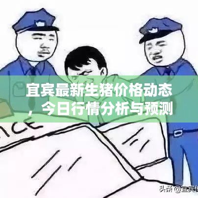 宜賓最新生豬價(jià)格動(dòng)態(tài)，今日行情分析與預(yù)測(cè)