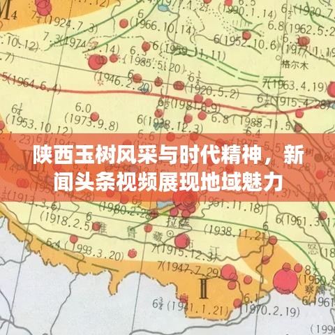 陜西玉樹風(fēng)采與時代精神，新聞頭條視頻展現(xiàn)地域魅力