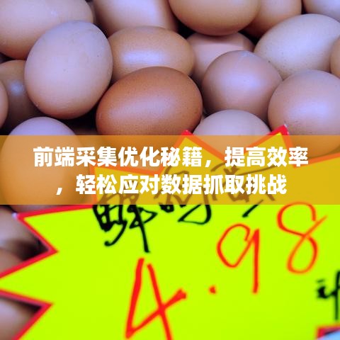 前端采集優(yōu)化秘籍，提高效率，輕松應(yīng)對(duì)數(shù)據(jù)抓取挑戰(zhàn)