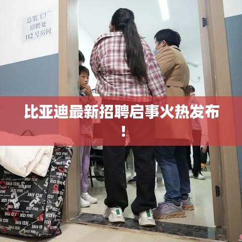 比亞迪最新招聘啟事火熱發(fā)布！