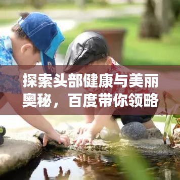 探索頭部健康與美麗奧秘，百度帶你領(lǐng)略新知
