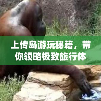 上傳島游玩秘籍，帶你領略極致旅行體驗！