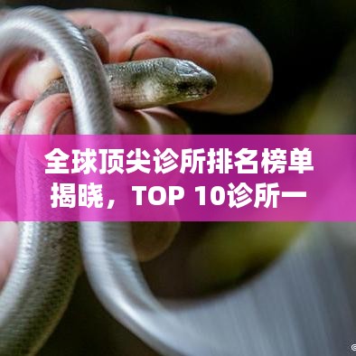 全球頂尖診所排名榜單揭曉，TOP 10診所一覽無余！