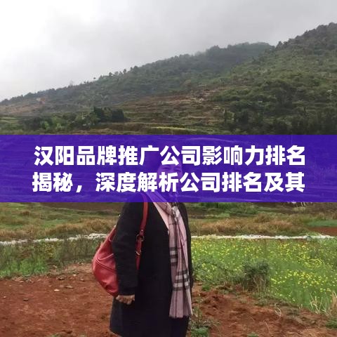 漢陽品牌推廣公司影響力排名揭秘，深度解析公司排名及其影響力