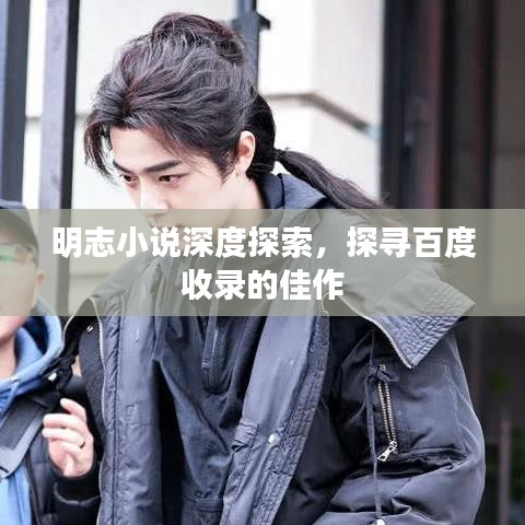 明志小說深度探索，探尋百度收錄的佳作