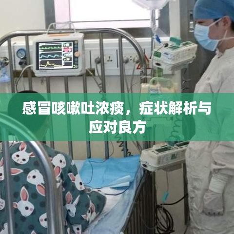 感冒咳嗽吐濃痰，癥狀解析與應(yīng)對良方