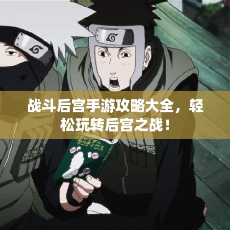 戰(zhàn)斗后宮手游攻略大全，輕松玩轉(zhuǎn)后宮之戰(zhàn)！